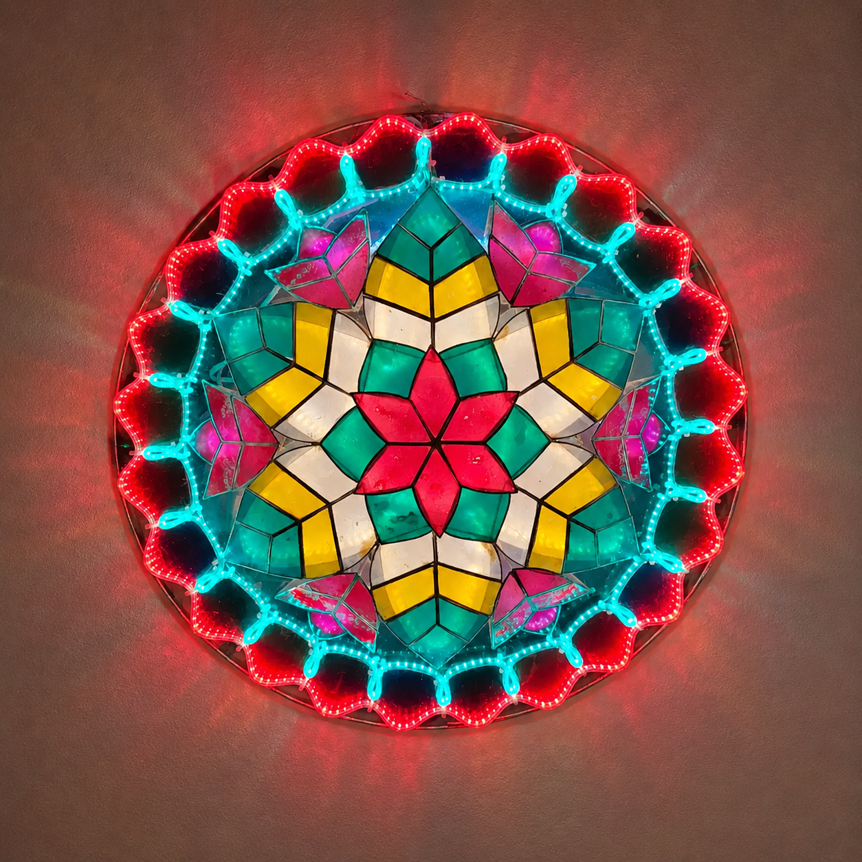 Tulip Special Parol